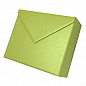 Коробка конверт "Комплимент" Цвет Зеленый сад